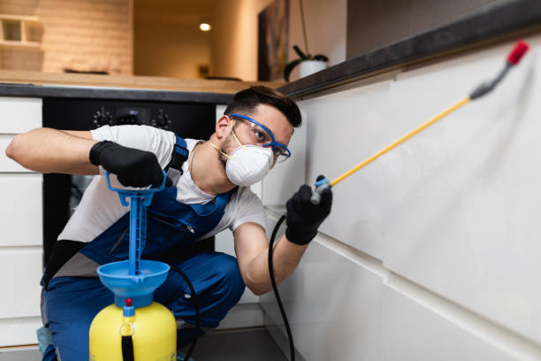 Best Pest Control Near Me  in Quincy, MA