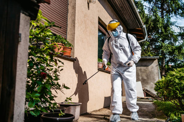 Best Bed Bug Extermination  in Quincy, MA