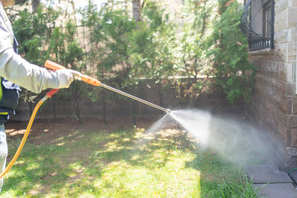 Best Pest Inspection Near Me  in Quincy, MA