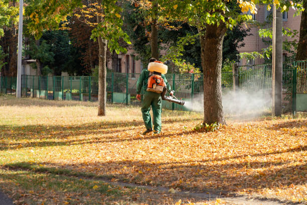 Best Exterminator Services  in Quincy, MA