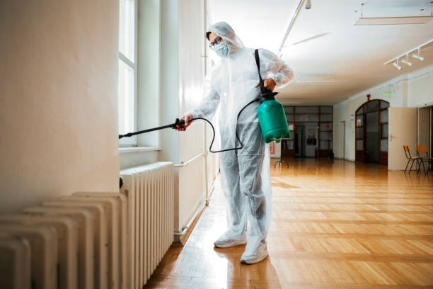 Trusted Quincy, MA Pest Control Experts